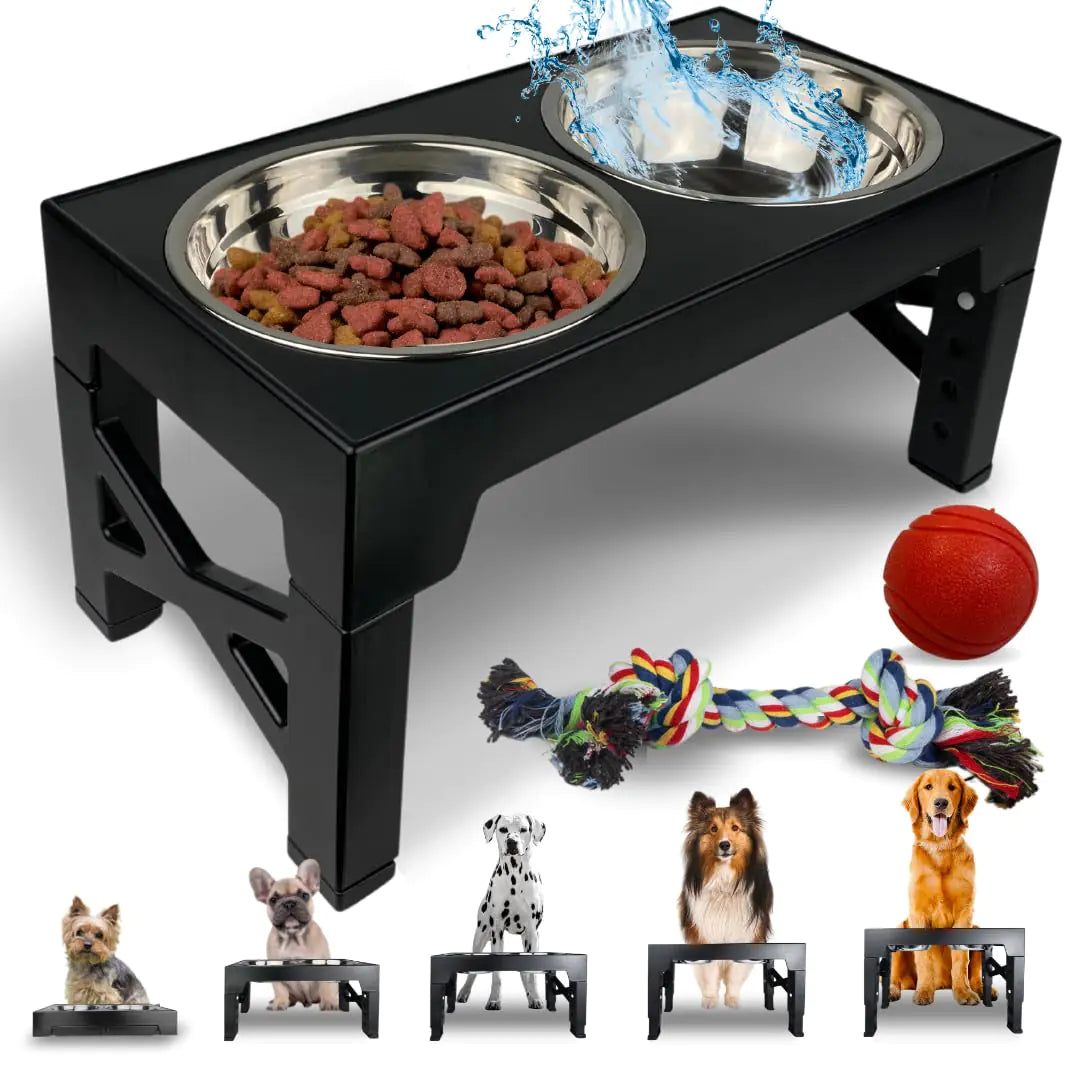GoldenPaw™ EasyDine — Adjustable Elevated Feeding Station