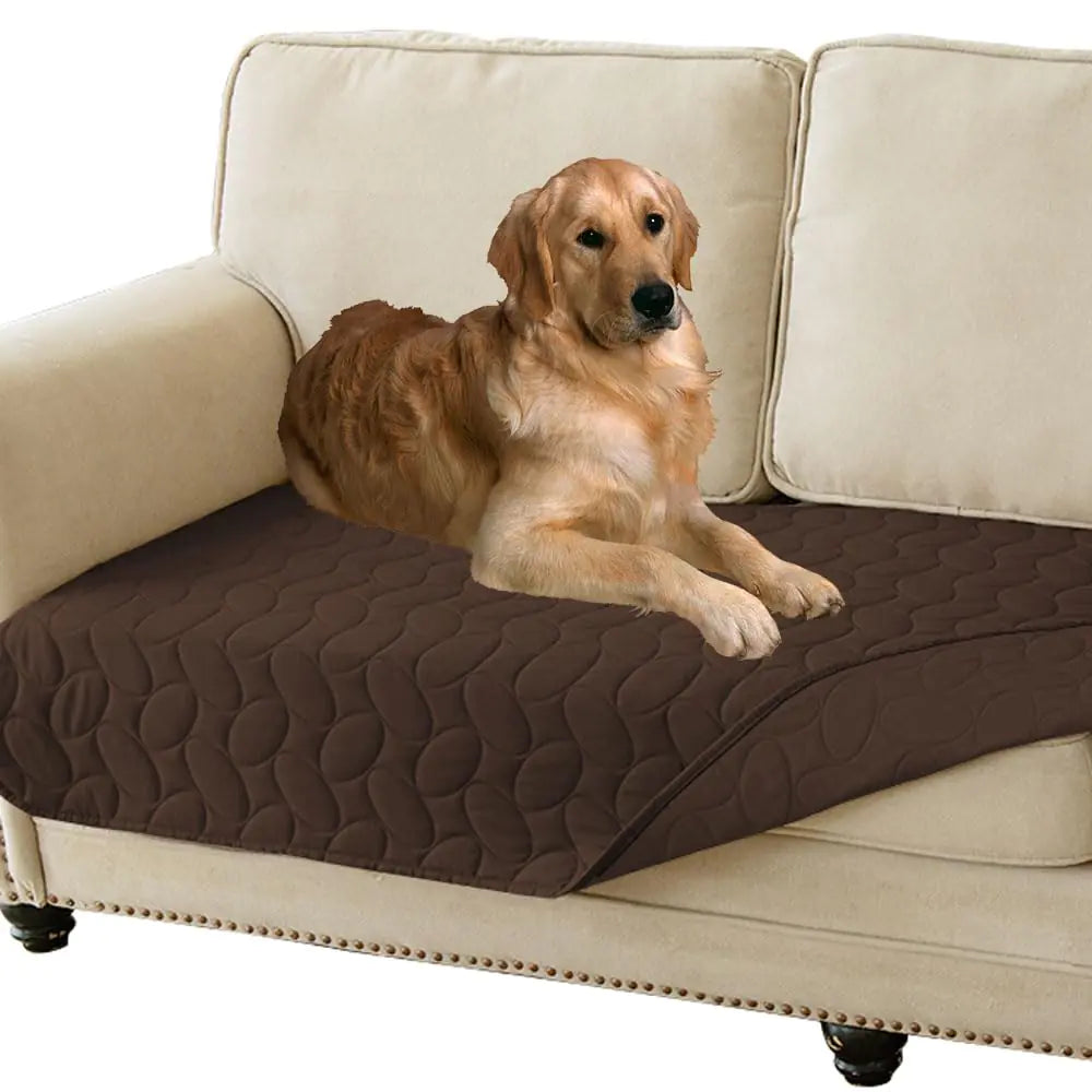 GoldenPaw™ CleanCare — Waterproof Furniture & Bed Protector