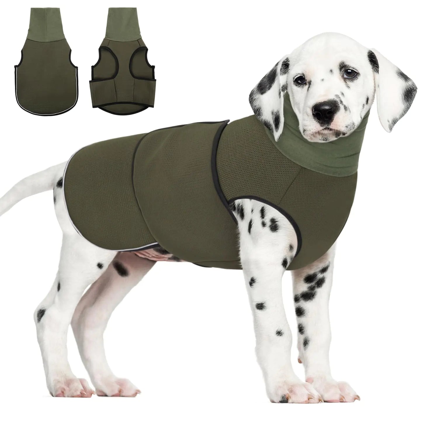 GoldenPaw™ CalmWear — Anxiety Relief Vest & Ear Wrap