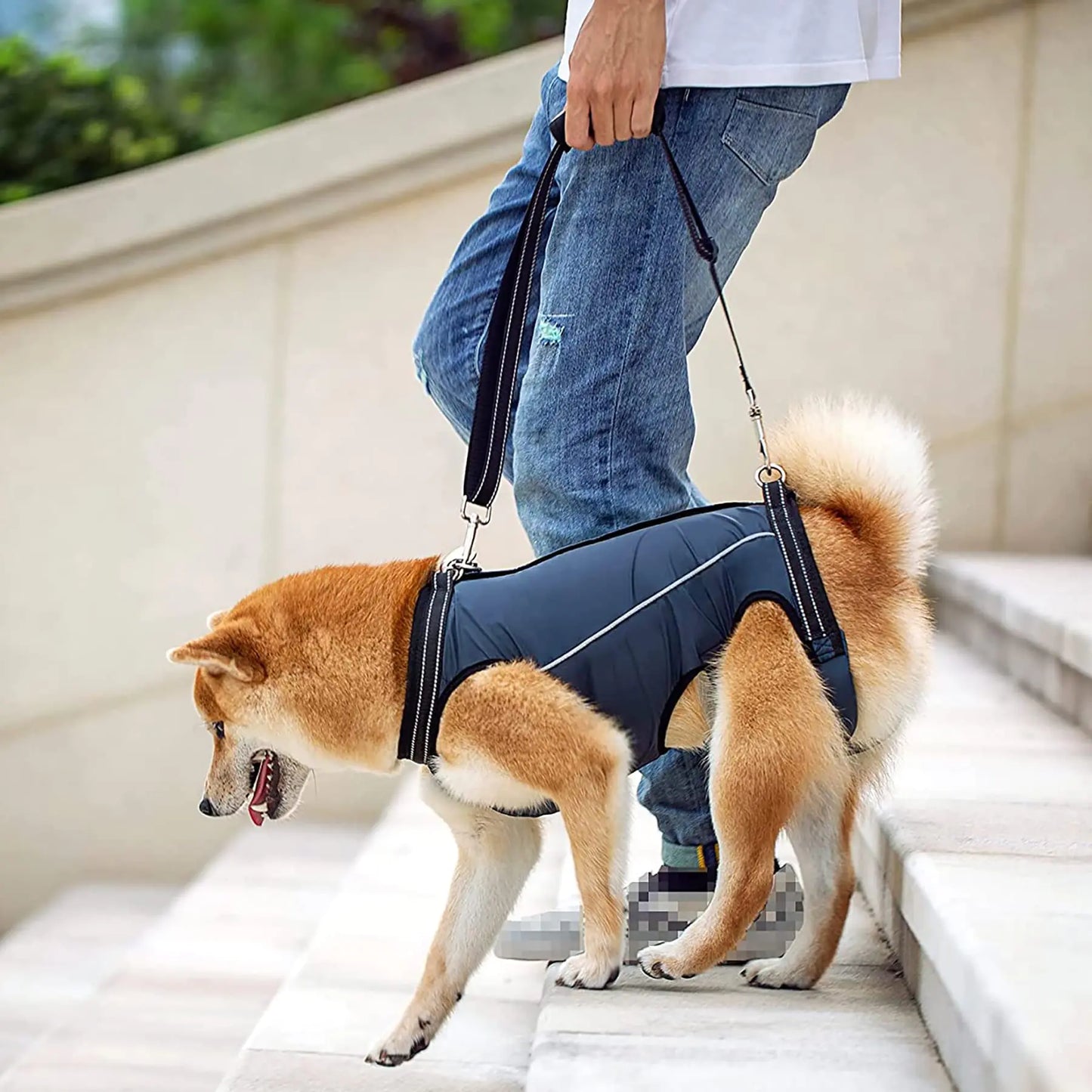 GoldenPaw™ LiftEase — Full Body Support Harness