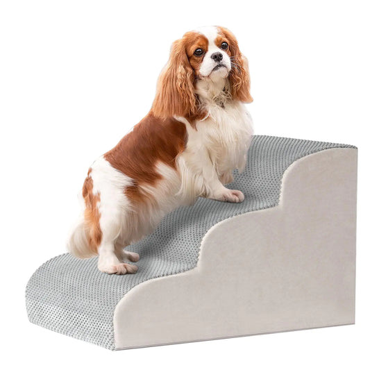 GoldenPaw™ EasyRise — Orthopedic Support Steps